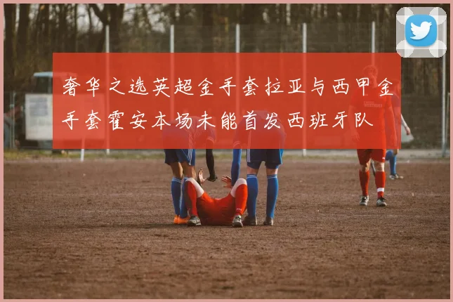 奢华之选英超金手套拉亚与西甲金手套霍安本场未能首发西班牙队